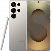 Samsung Galaxy S25 Ultra 12/256GB (Серый)