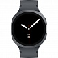 картинка Смарт-часы Samsung Galaxy Watch8 40мм (Графитовые) от Дисконт "Революция цен"